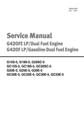 DAEWOO DOOSAN G420F AND G420FE FE LP  ENGINE