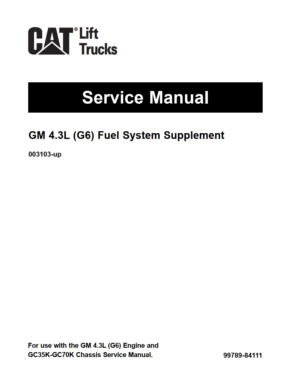 GM 4.3L (G6) FUEL SYSTEM SUPPLEMENT MANUAL