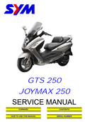 SYM FIRENZE 250 250CC SCOOTER BIKE