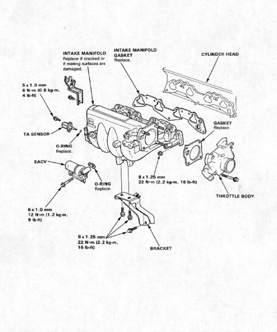 HONDA CIVIC COUPE CRX 1987-1991 1.5L 1.6L